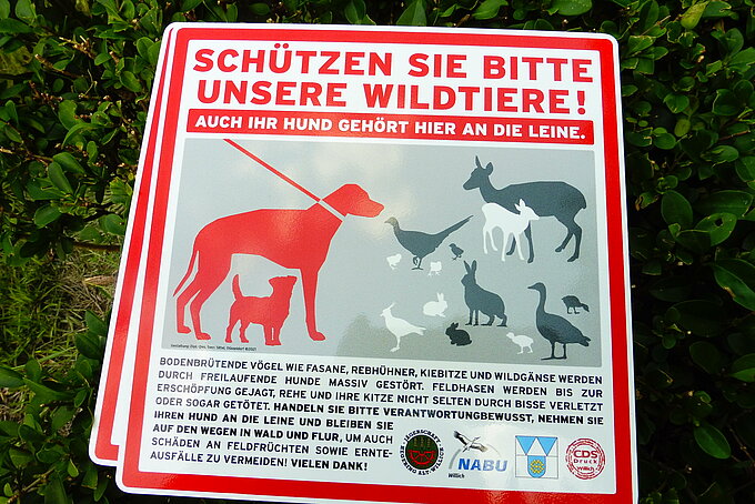 Die gemeinsam gestaltete Tafel informiert die Hundebesitzer über die Gefahren für die Wildtiere
