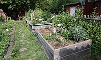 Naturerlebnisgarten an der Eva-Lorenz-Umweltstation. Foto: NABU Willich, Klaus Keipke