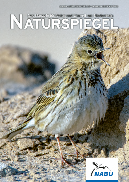 Naturspiegel 3/2025
